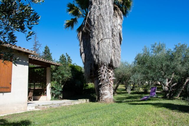 Les oliviers- Vue du jardin depuis le sud ouest